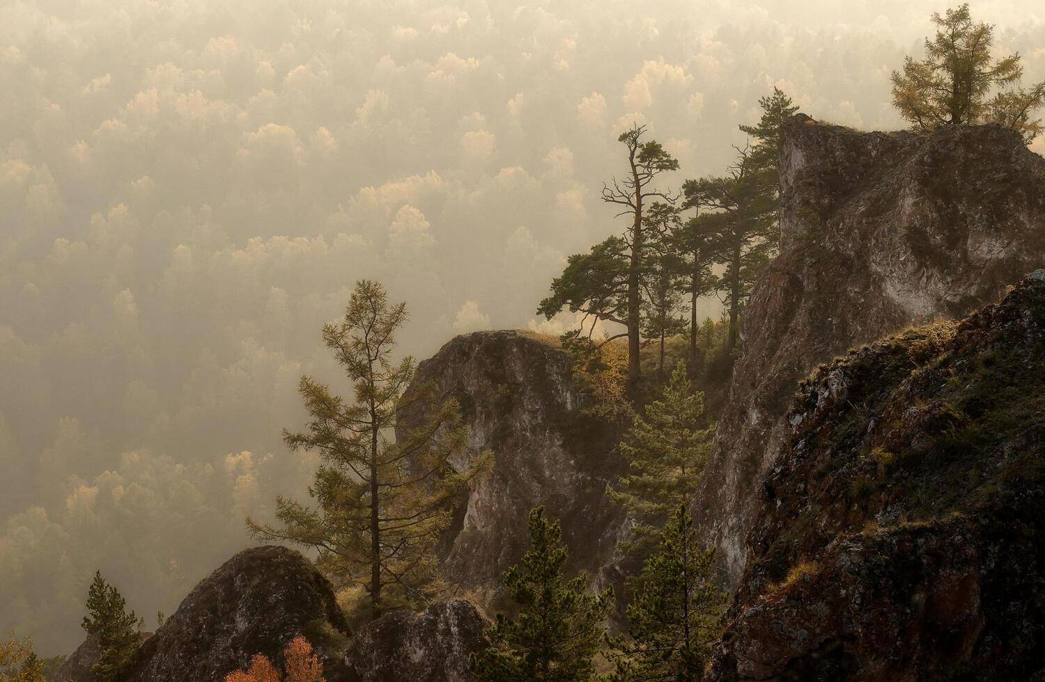 торгашинский хребет., Марина Фомина