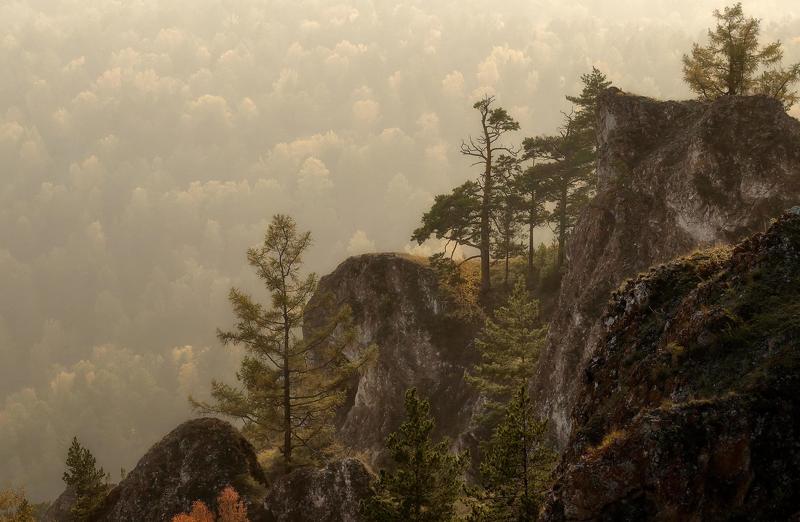 В вечерней дымке. фото превью