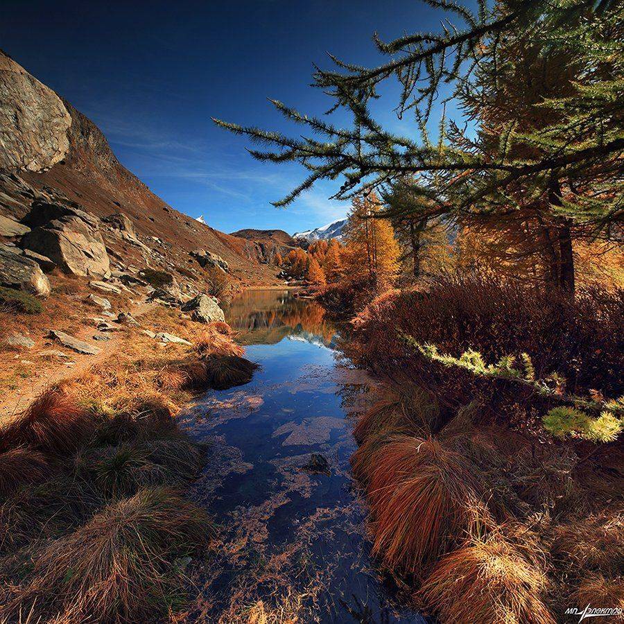 swiss, Матвеев Николай