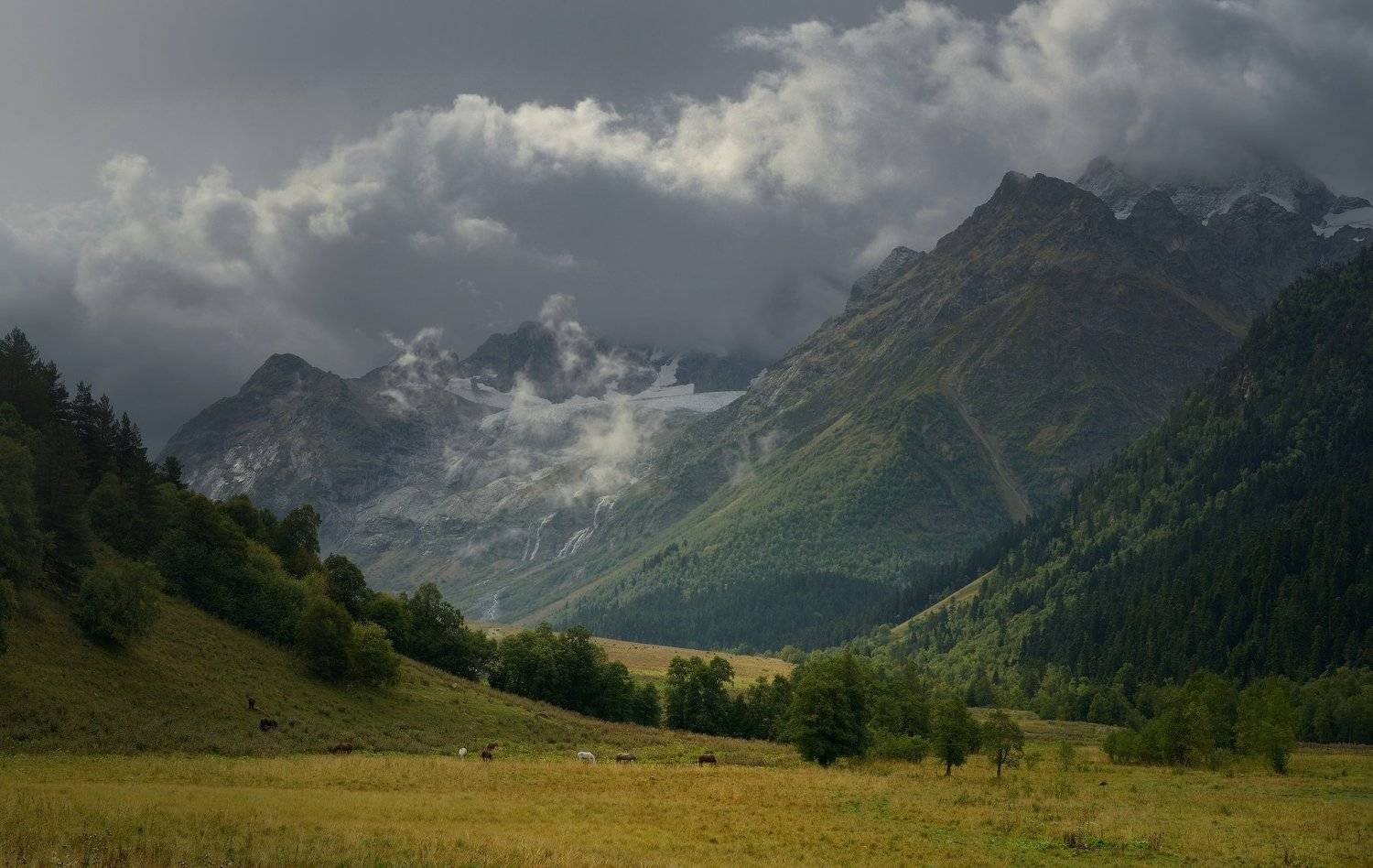 горы лето дождь  утро софия архыз, Александр Жарников