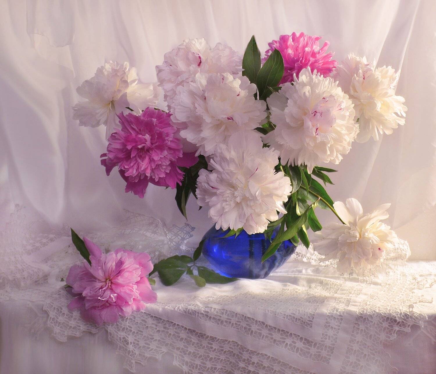 still life, натюрморт, цветы, фото натюрморт, пионы, настроение, лето, июль, Колова Валентина
