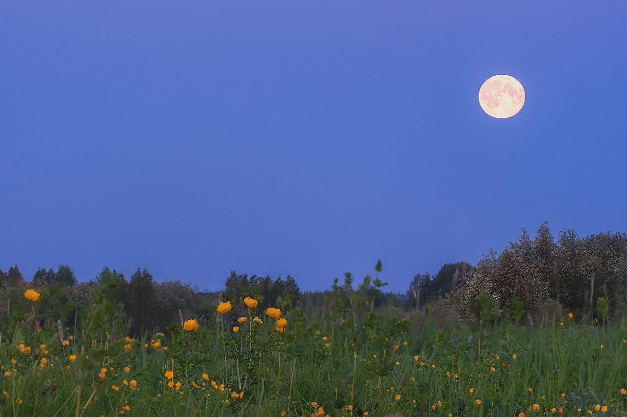 , Игорь Подобаев