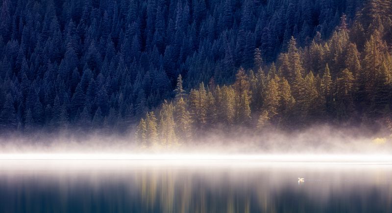 Good morning фото превью
