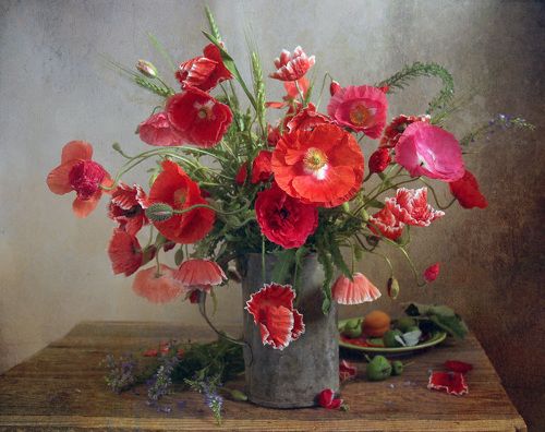 В июне маки зацвели