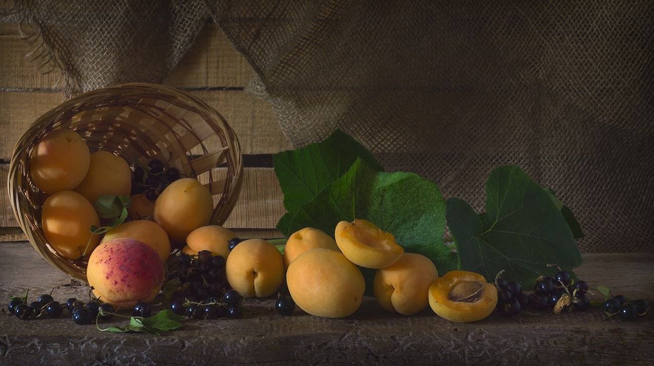 абрикосы,смородина,июль,натюрморт, Елена Брежицкая