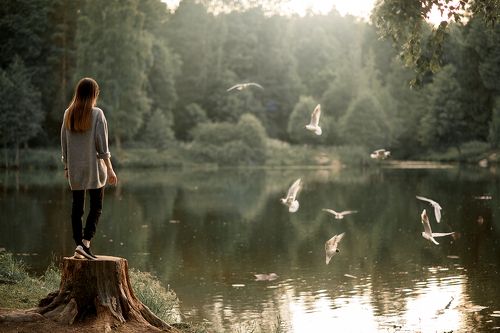 Шуваловский парк