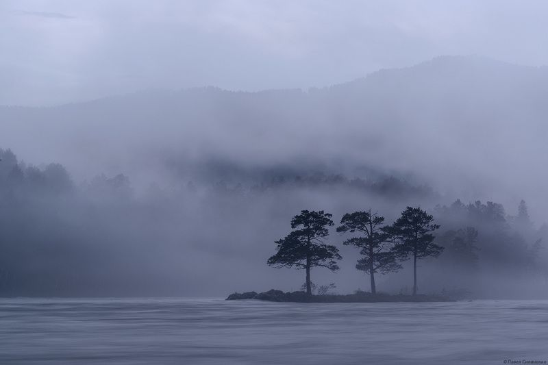 алтай, пейзаж, река, туман, вечер, катунь, дерево Три сестрицы на Катуне фото превью