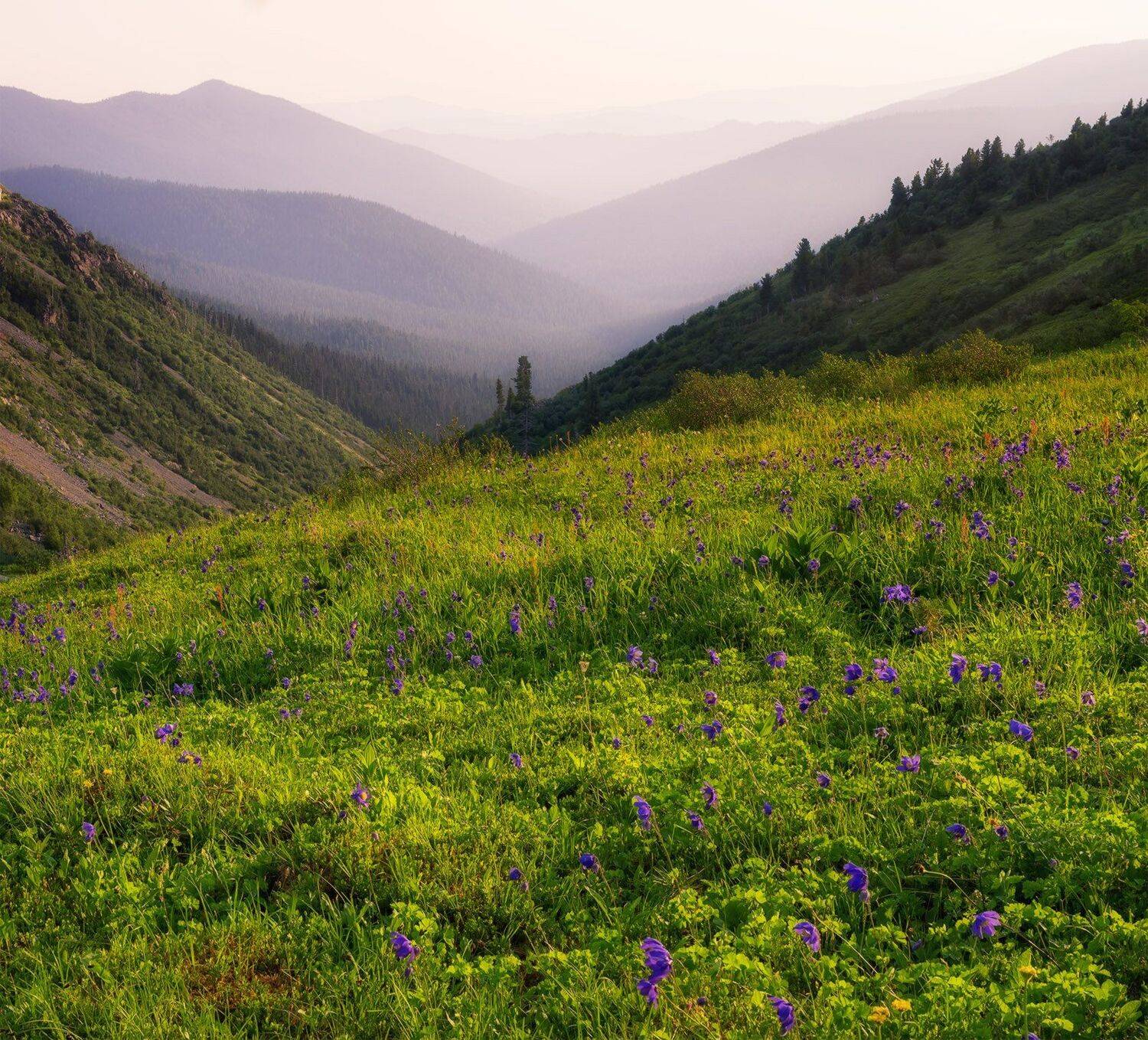 , Лещёнок Александр