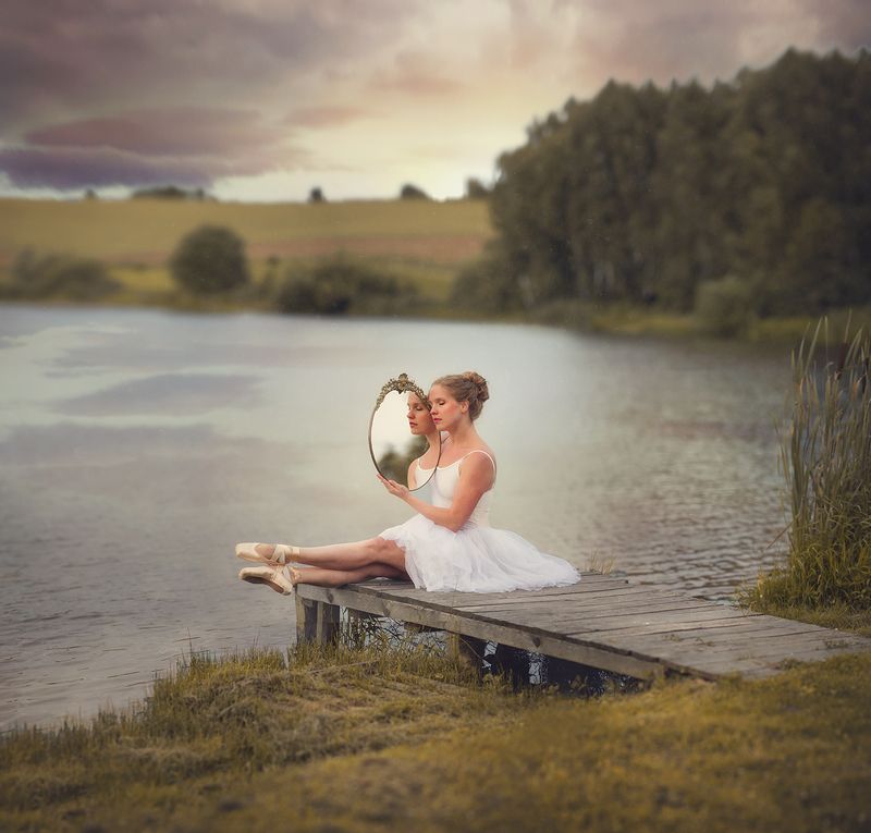 Swan фото превью