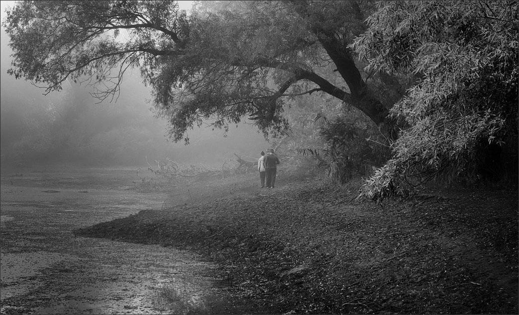 , Сергей Фудиненко