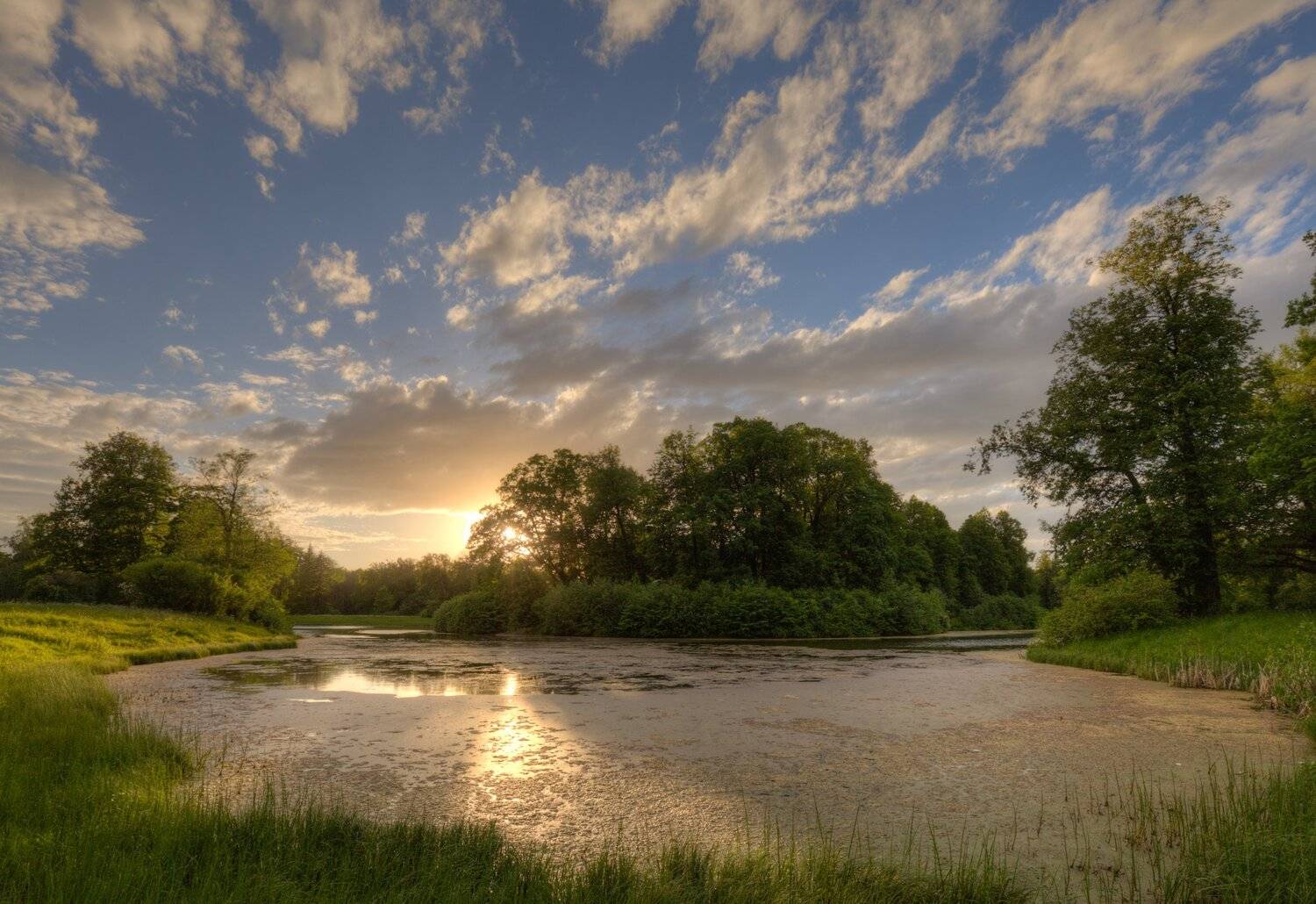 пруд, тина, павловск, санкт-петербург, Ольга Бабушкина