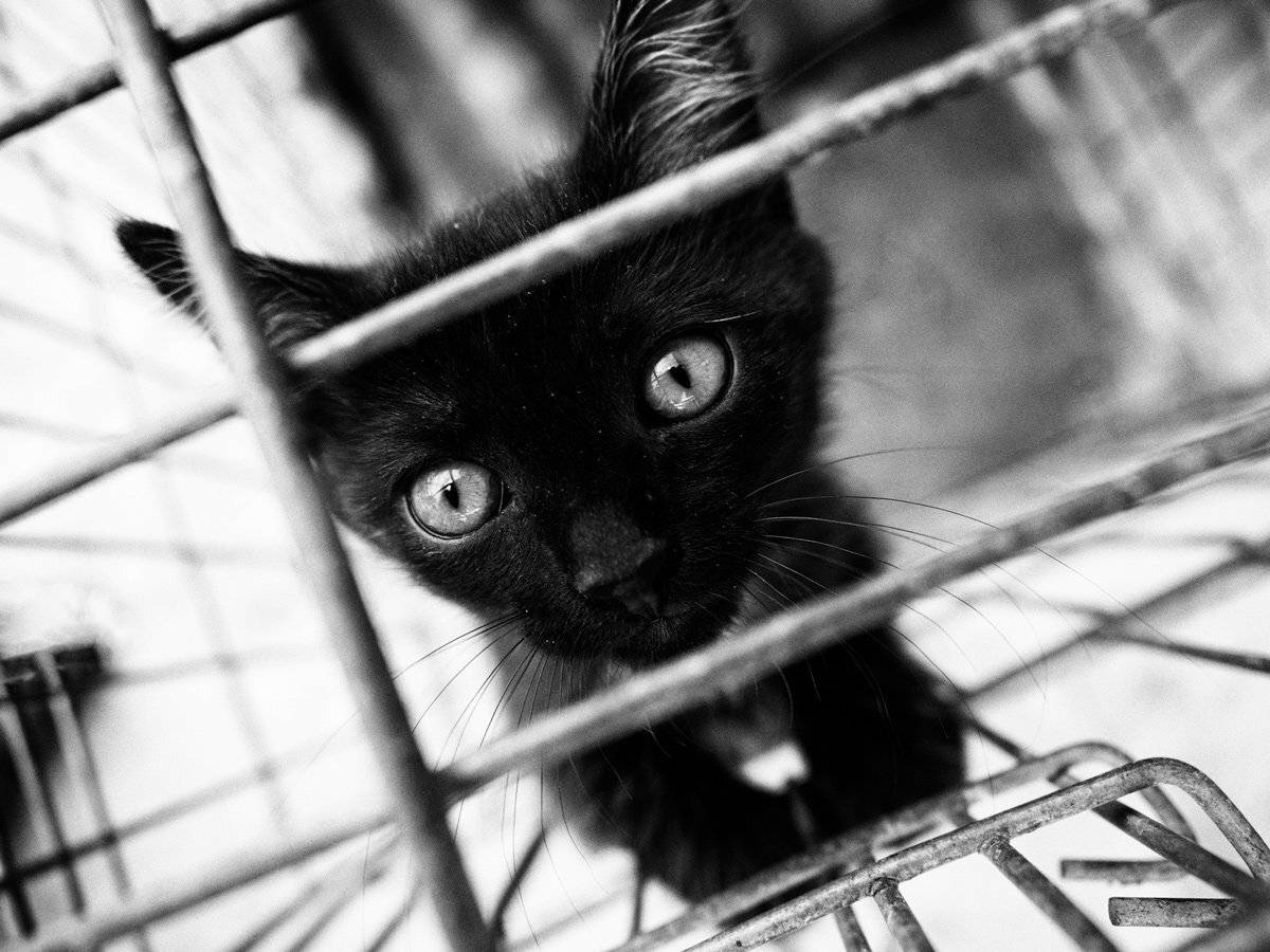 , Татьяна Аверина