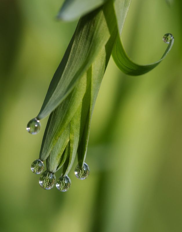 В подвешенном состоянии фото превью