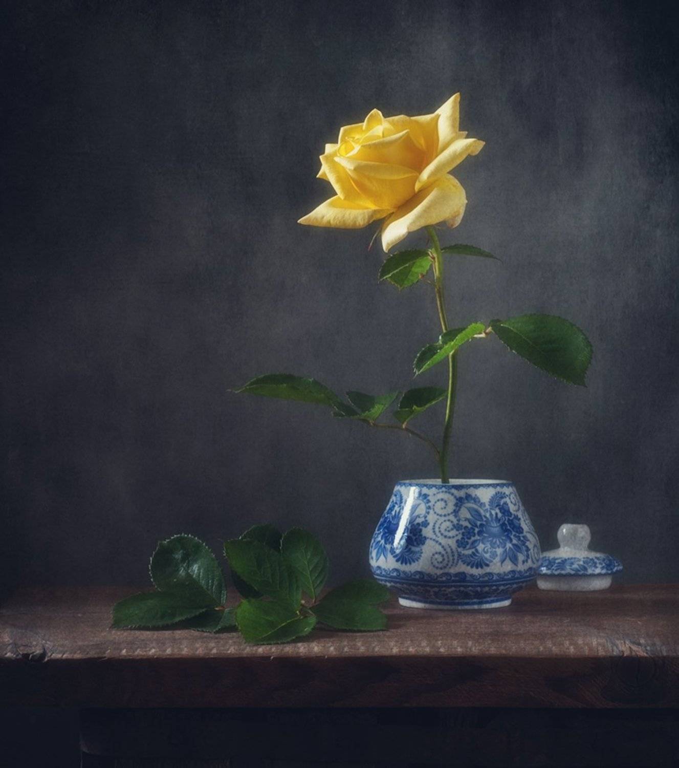 натюрморт,роза, Наталия К