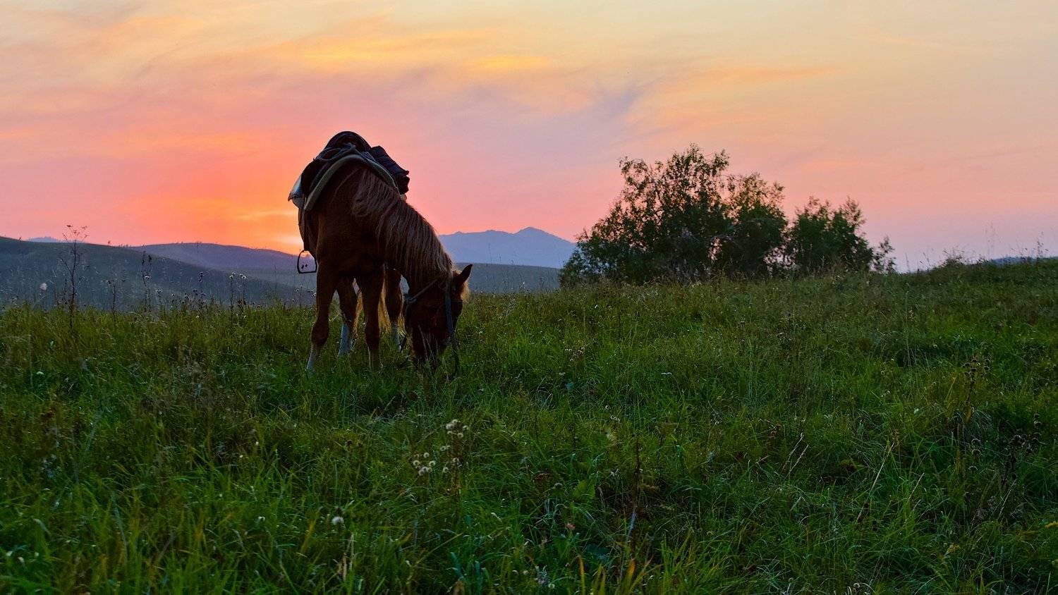 , Мазурин Евгений