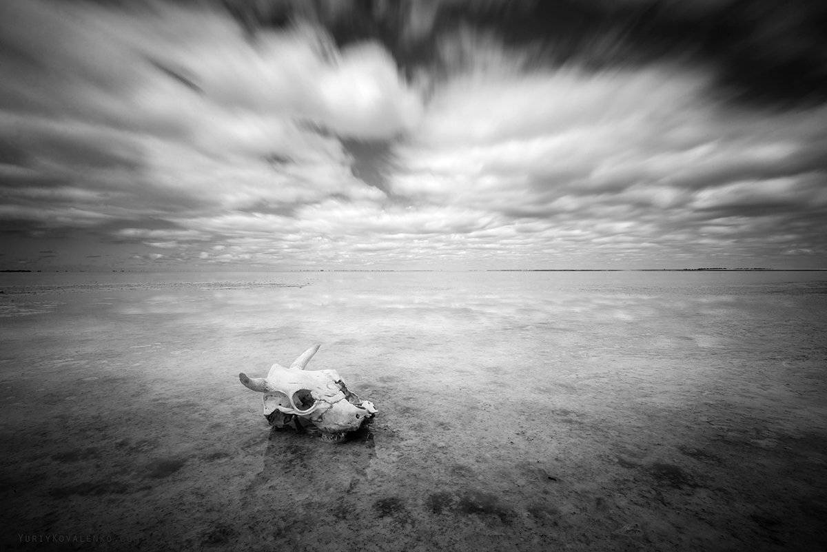 крым, Юрий Коваленко