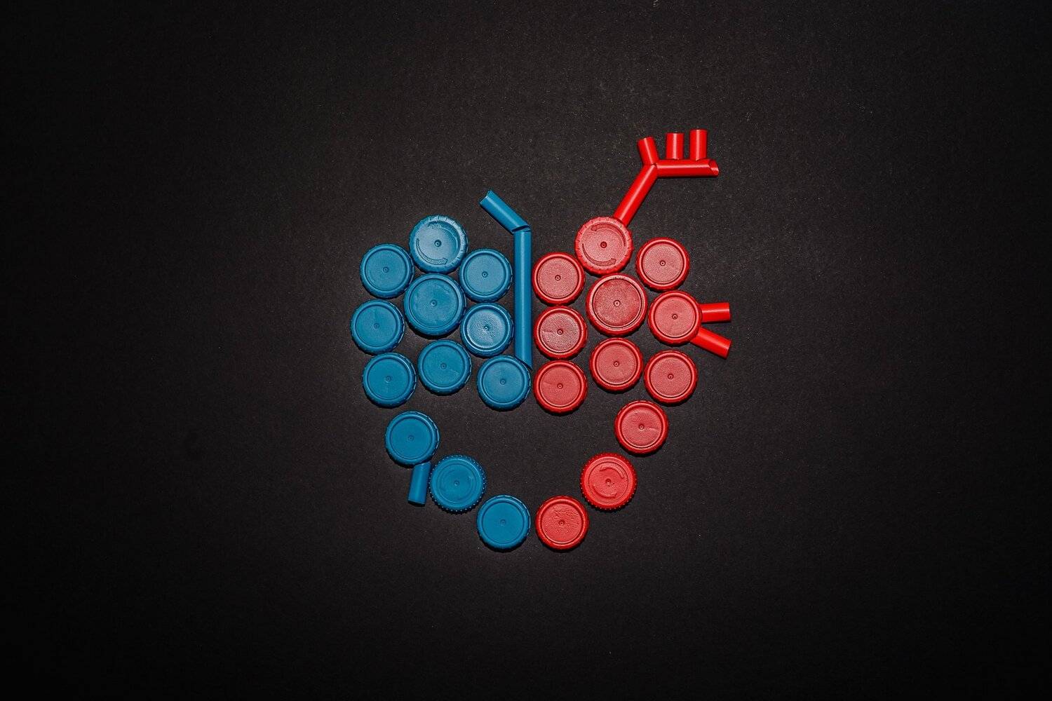 abstract, art, conceptual, recycled, artistic, organs, Antonio Coelho