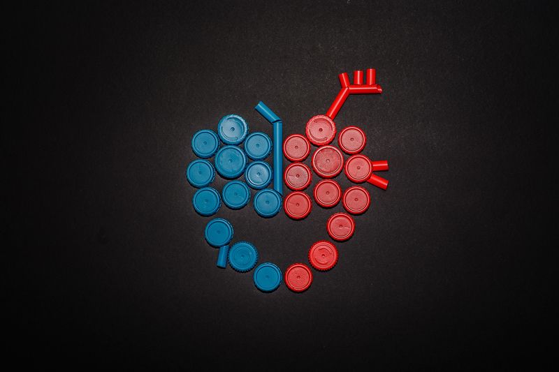 abstract, art, conceptual, recycled, artistic, organs Heart фото превью