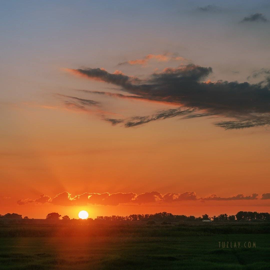 земля таманская, таманский полуостров, закат, вечер, рисовые чеки, Владимир Тузлай