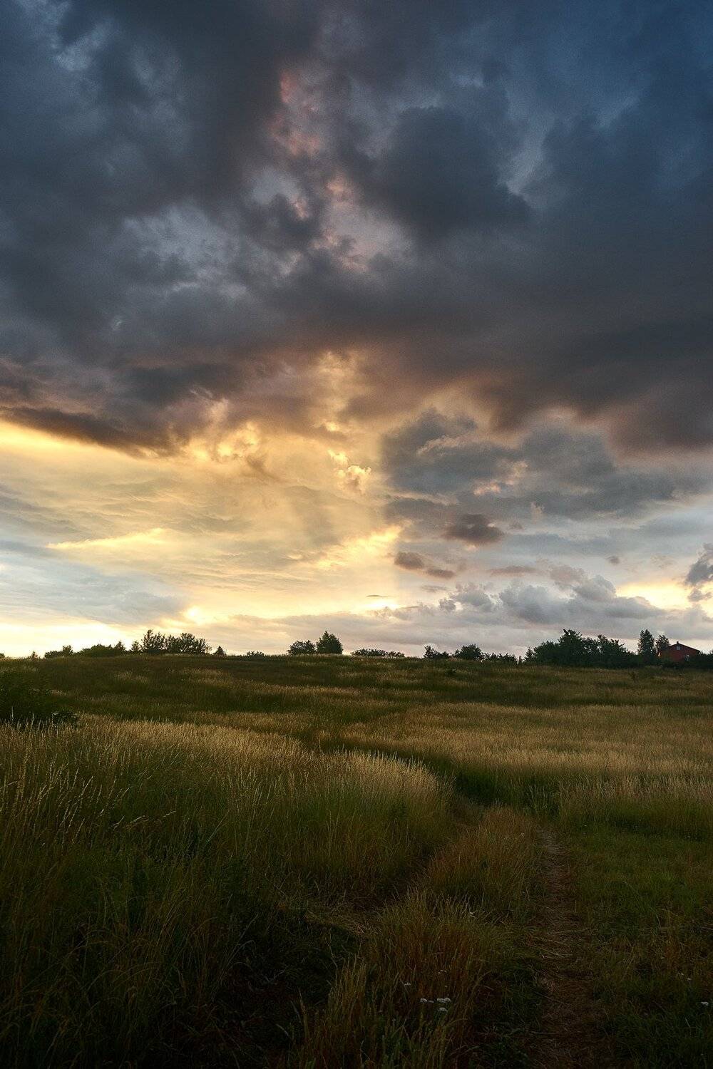 , Илья Мусатов