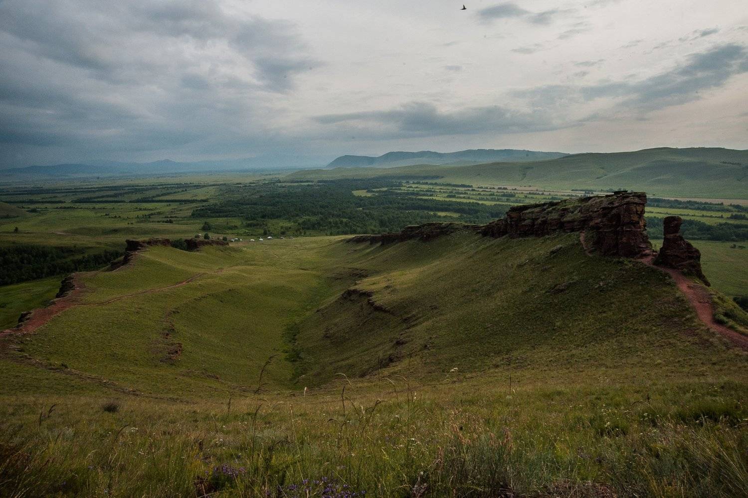 , Терра Алена