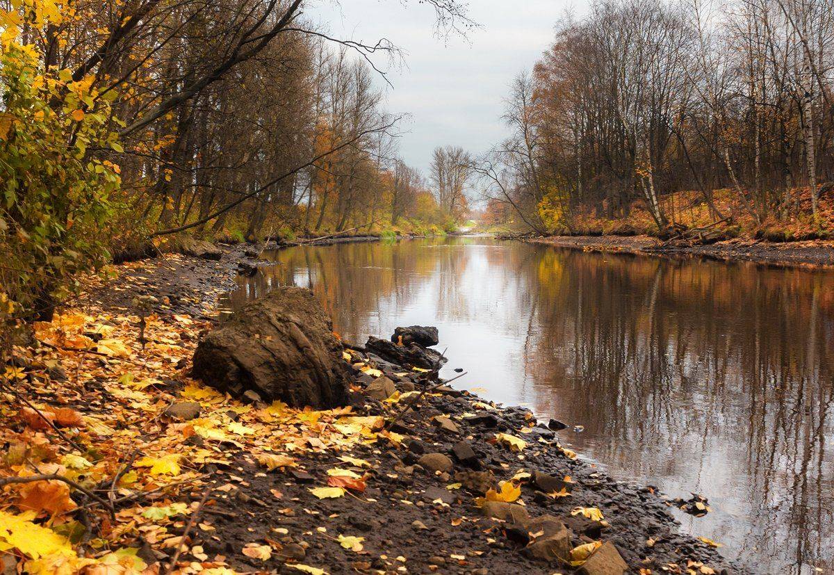 , Алексей Герасимов