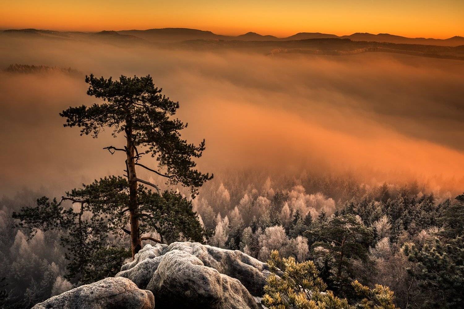 landscape,canon,sunrise,winter, Iza i Darek Mitręga