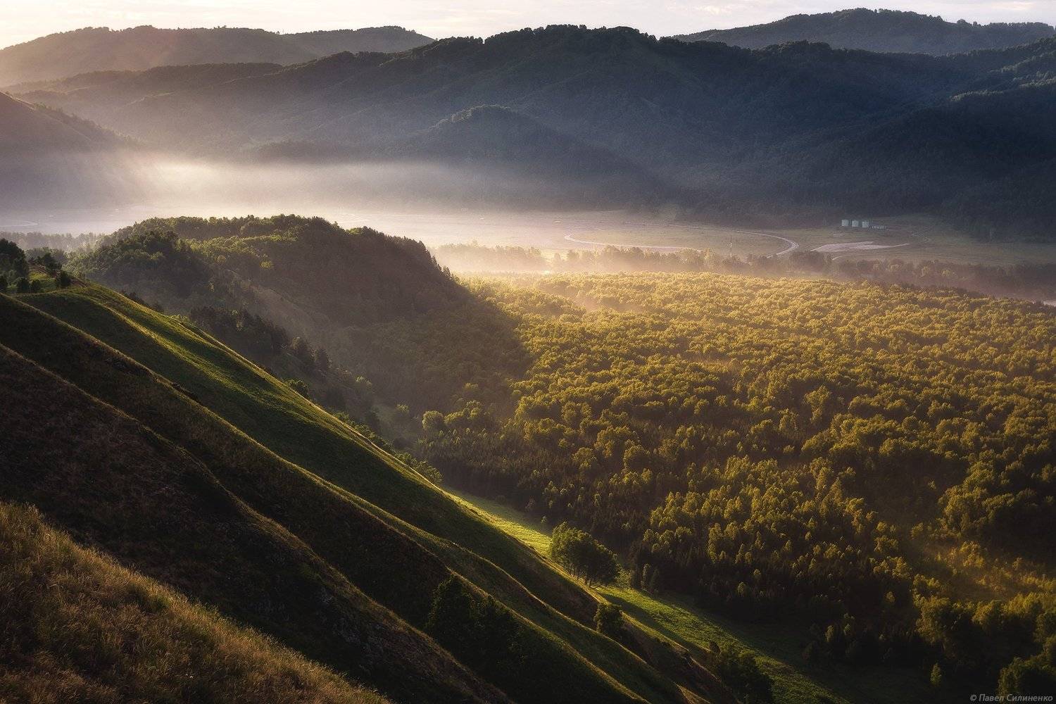 Алтай, пейзаж, утро, свет, горы, лето, Катунь, лес, Павел Силиненко