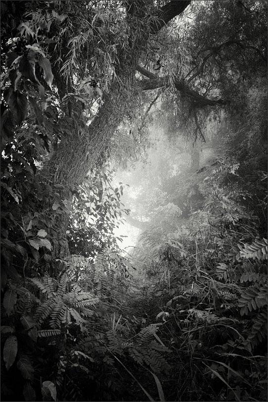 , Сергей Фудиненко