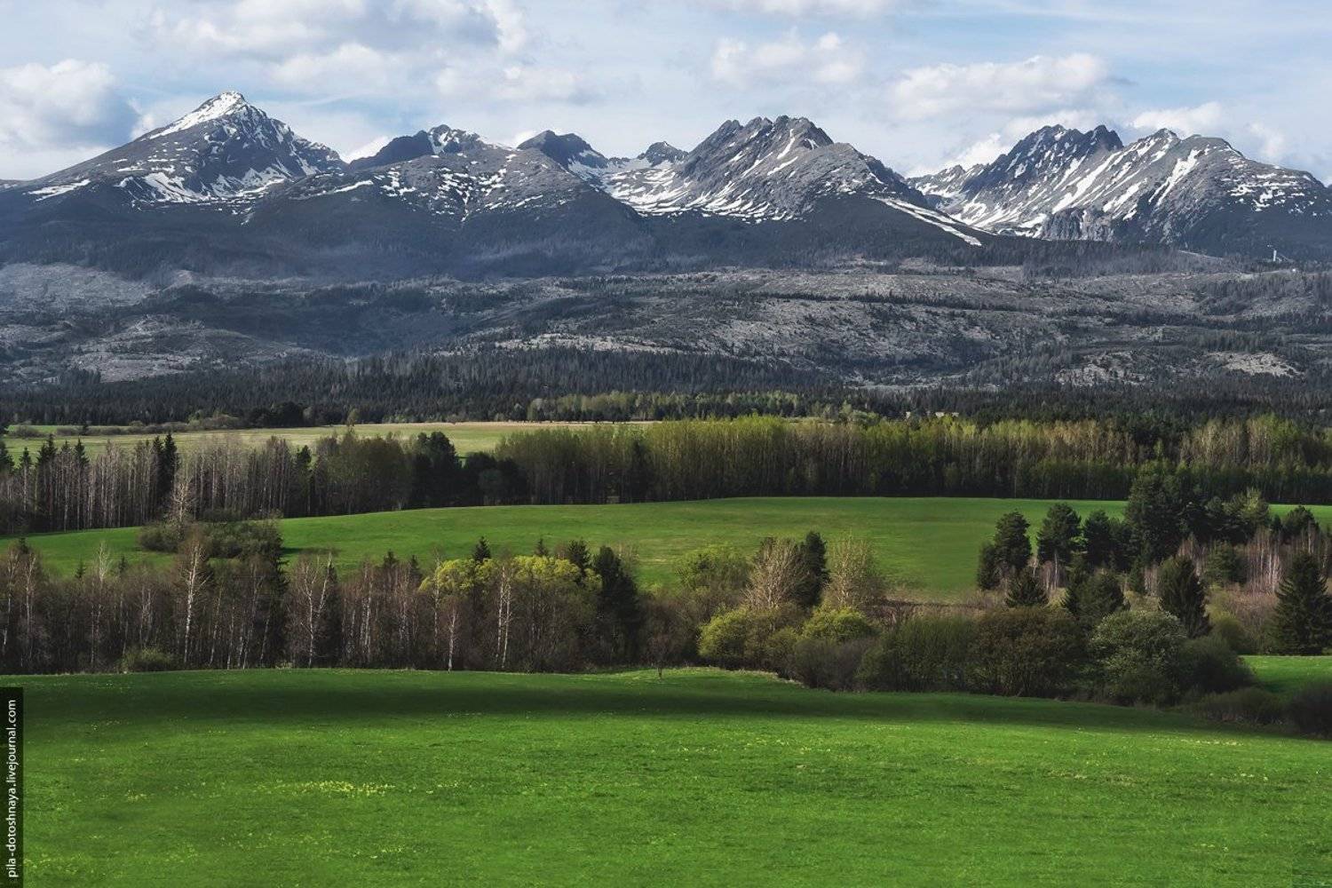 , Анна Аринова