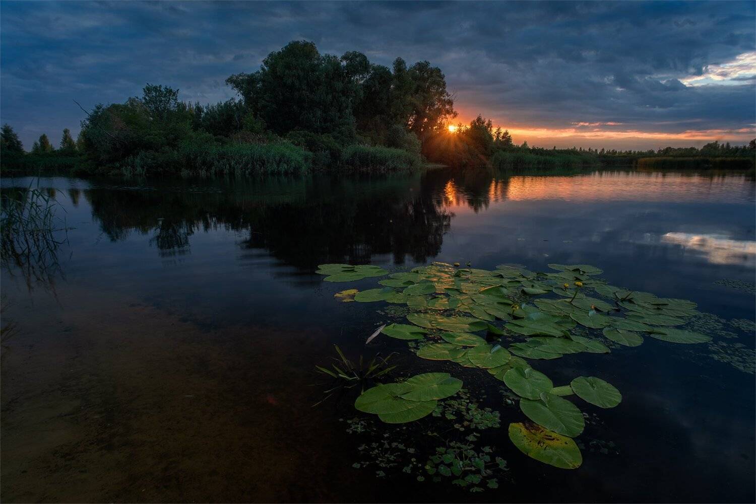, Юрий Юрьев