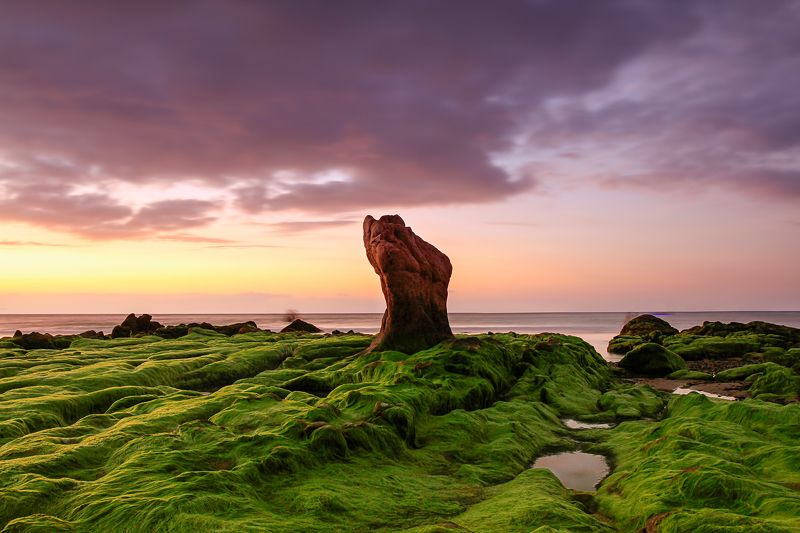 Stone with moss фото превью