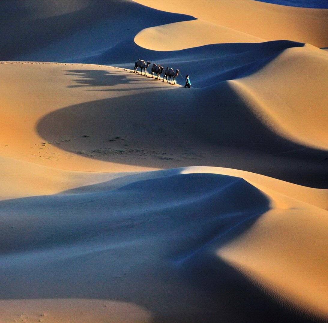 , Inkol Yu  유인걸