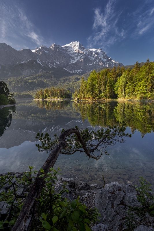Озеро, Германия, Айбзее  Утро на озере  фото превью