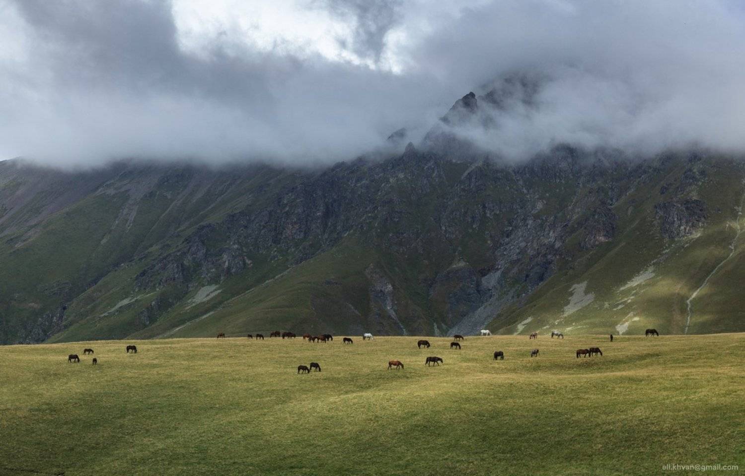 , Элина Хван