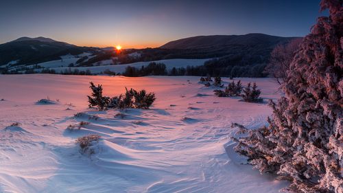 Landscapes