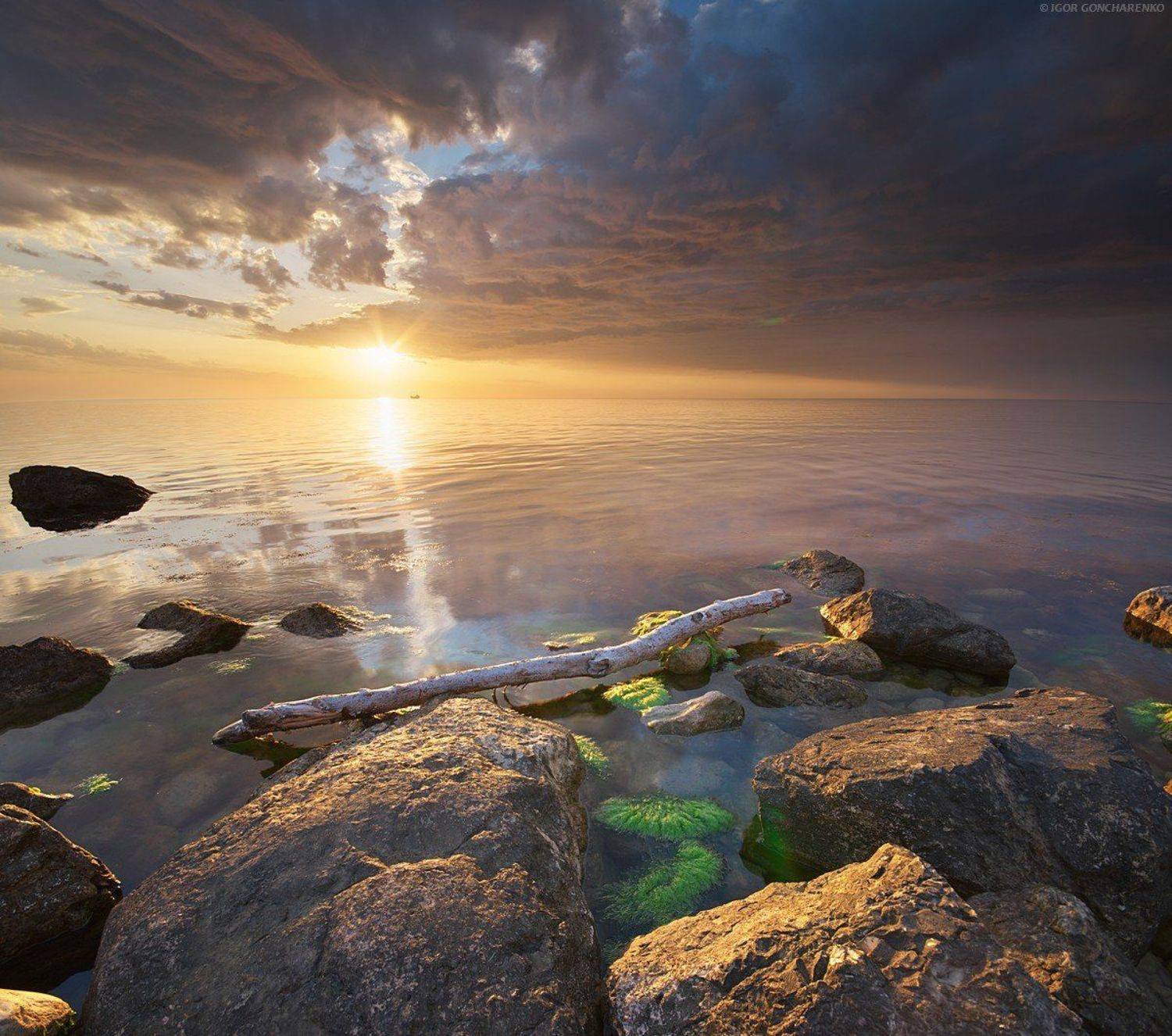 моер закат камни коряга крым, Игорь