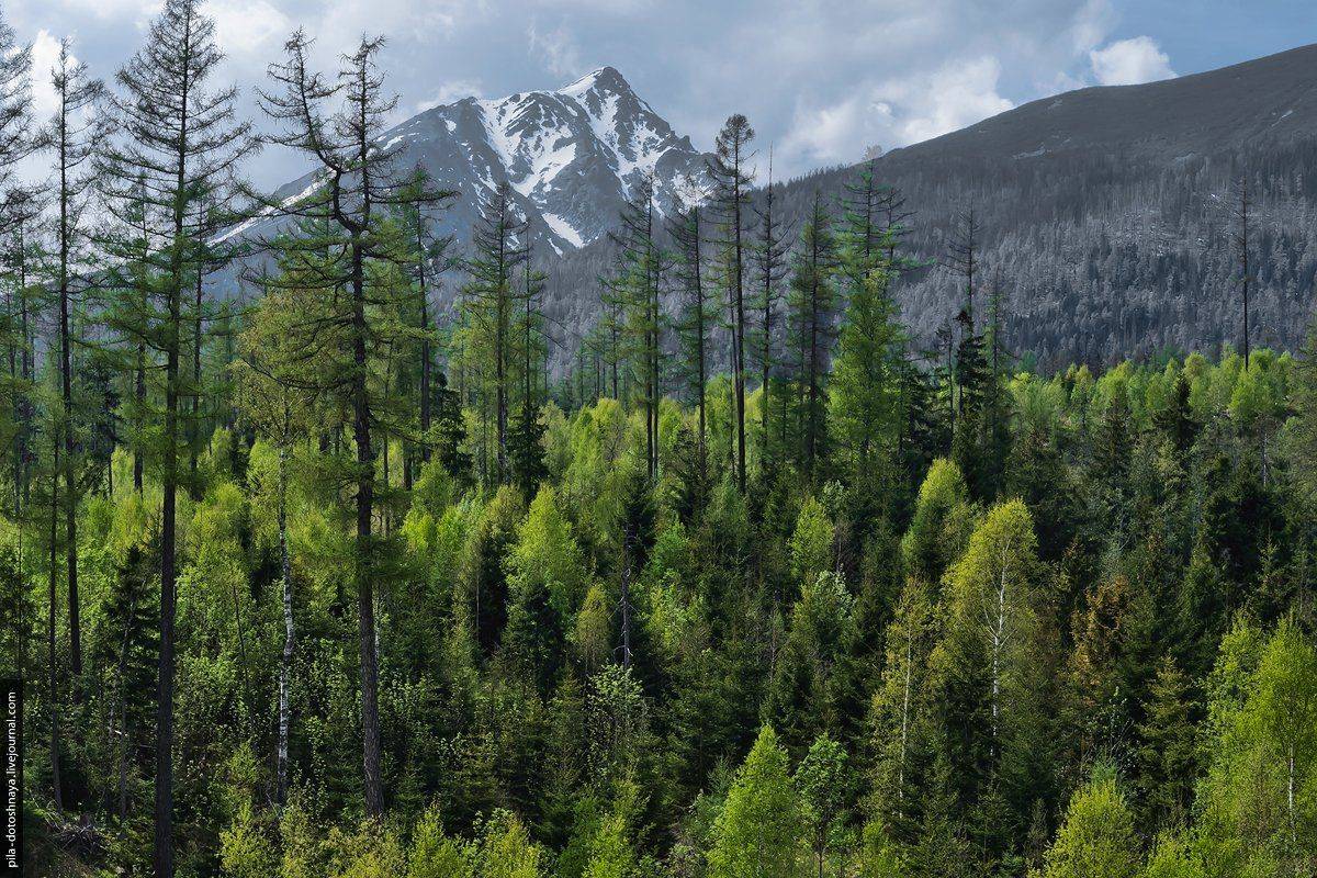 , Анна Аринова