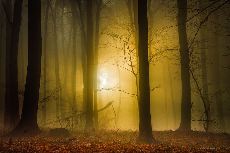 осенний, туман,zanfoar,czech republic,nikon,чехия осенний туман фото превью