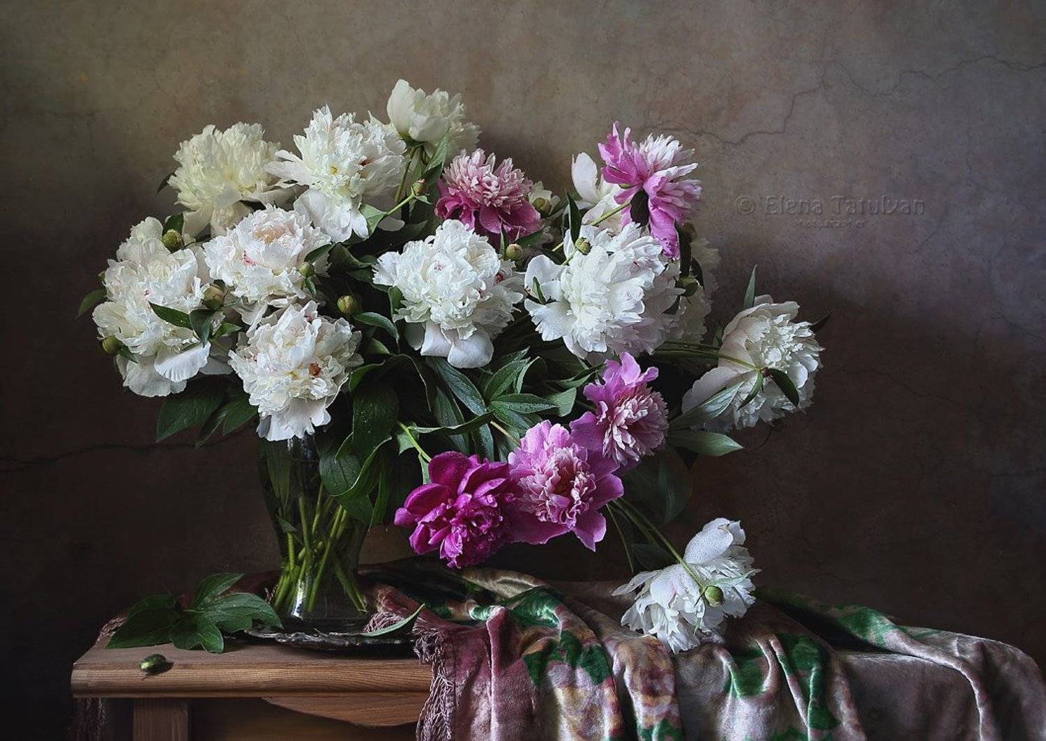 цветы, пионы, лето, букет, жук, прованс, аромат, белые, розовые, Елена Татульян