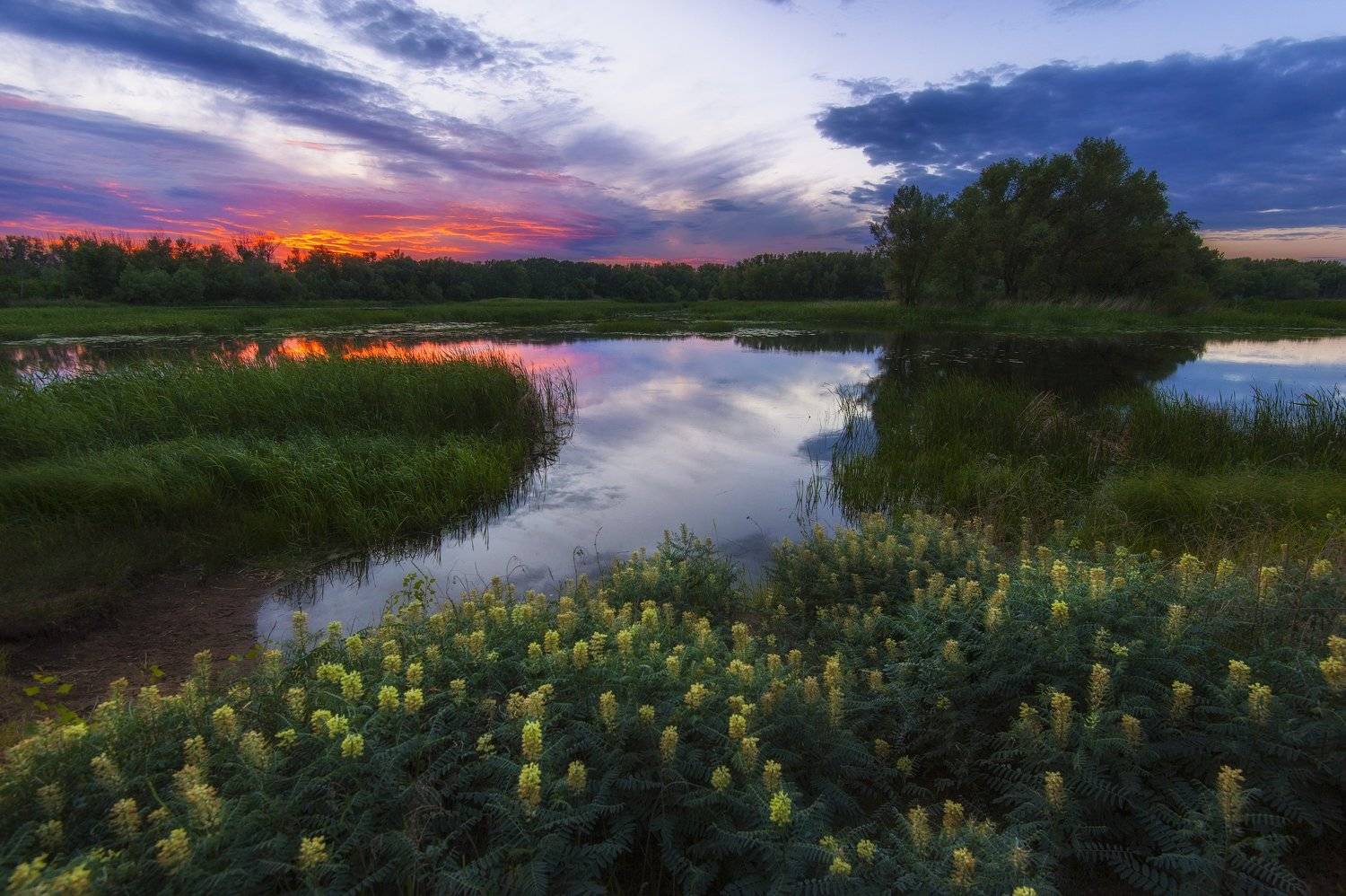 , Илья Логачёв