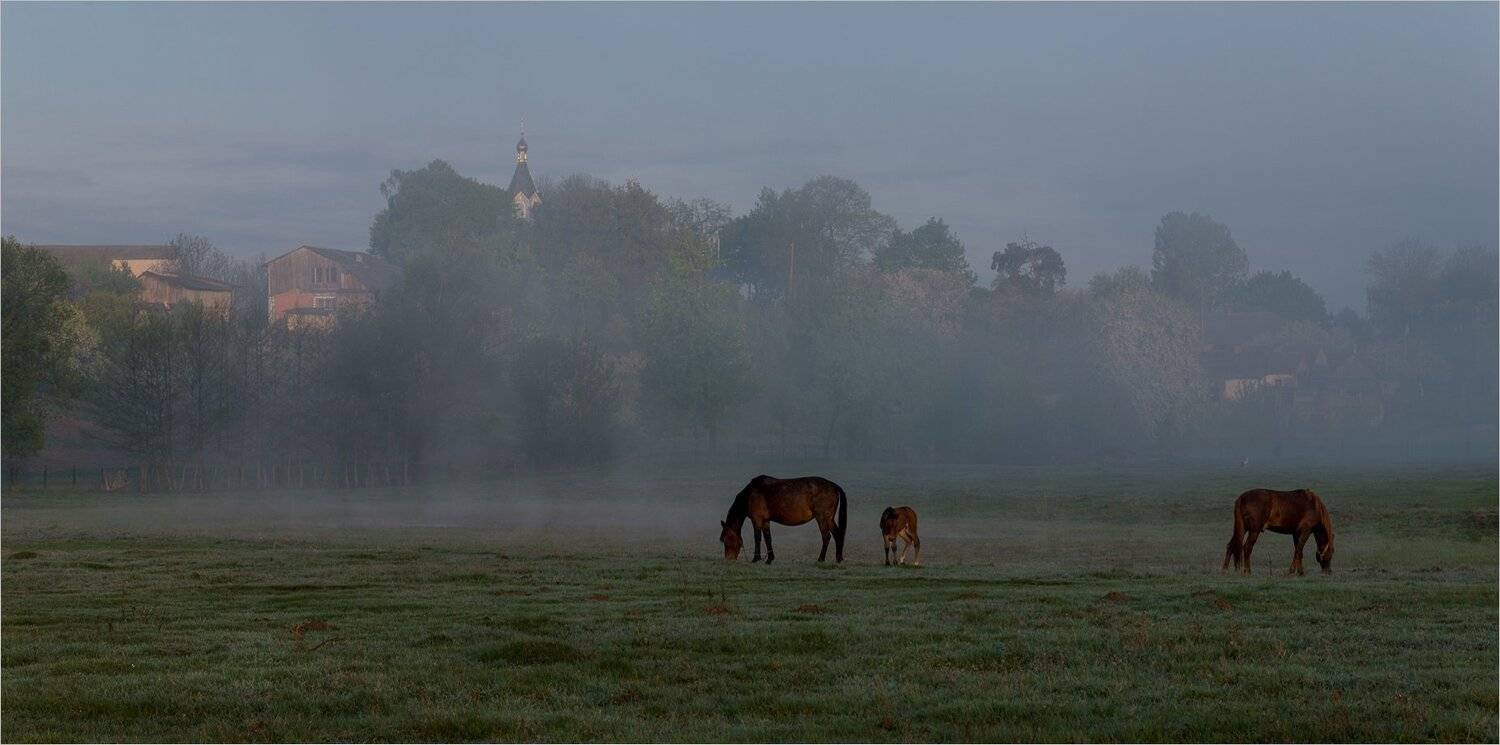 , Николай Шахманцир