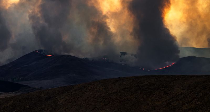 степные пожары, оренбургская область, дым, степь, гарь В огне фото превью