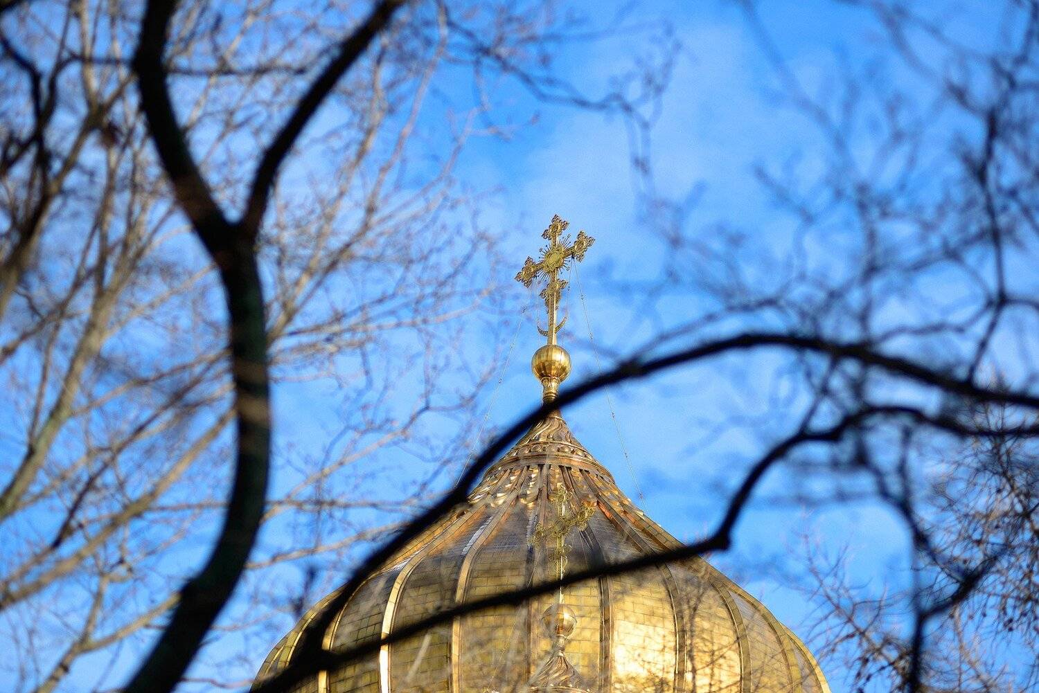 , Илья Афанасьев