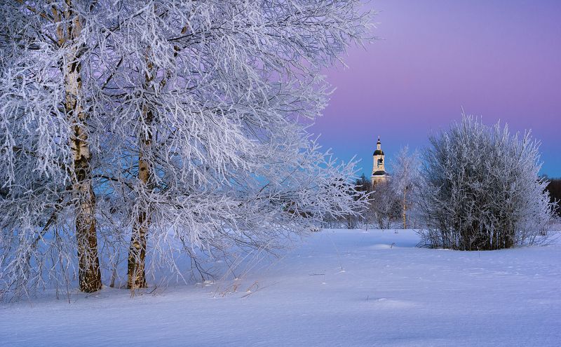 Two frozen birches фото превью