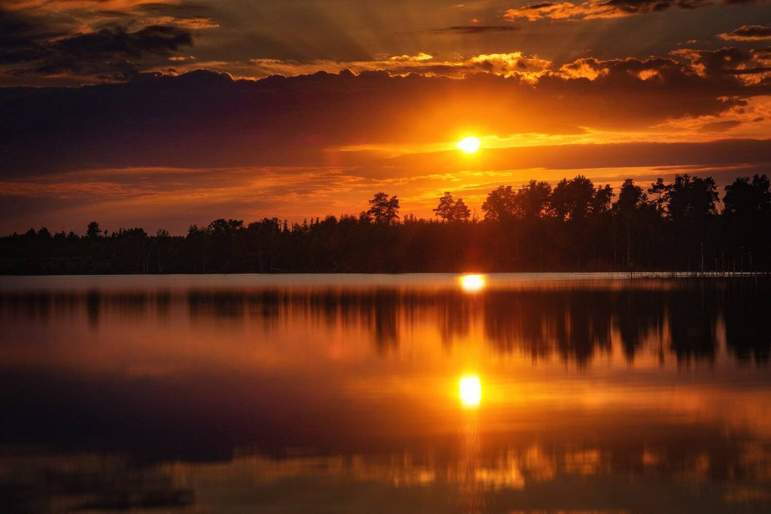 фото, природа, пейзаж, лес, лето, закат, Екатерина