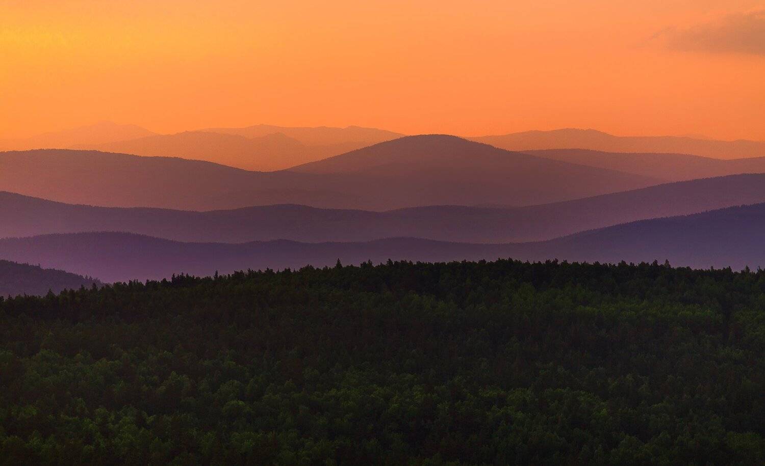 , Павел Сагайдак