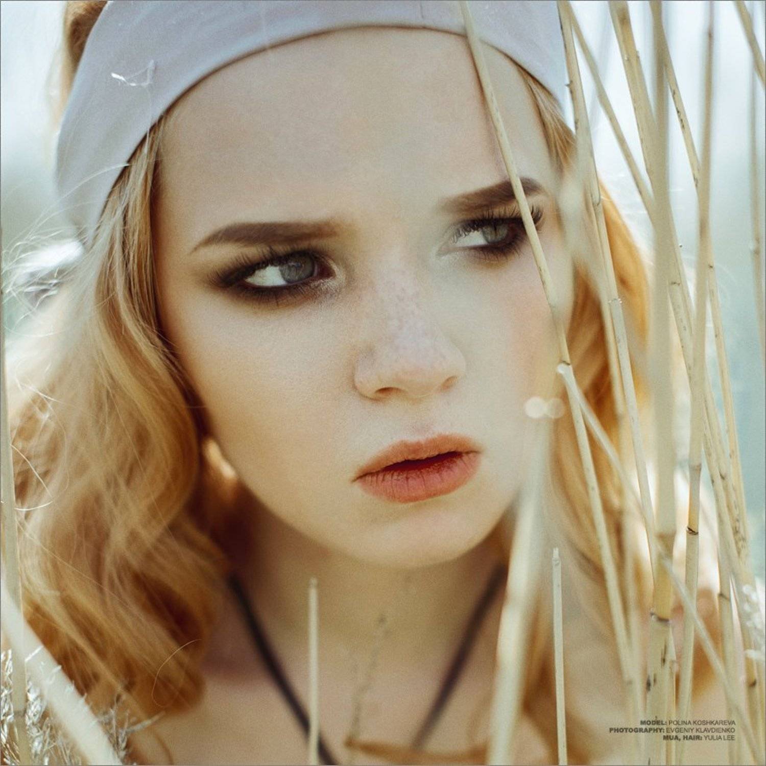 , Евгений Клавдиенко