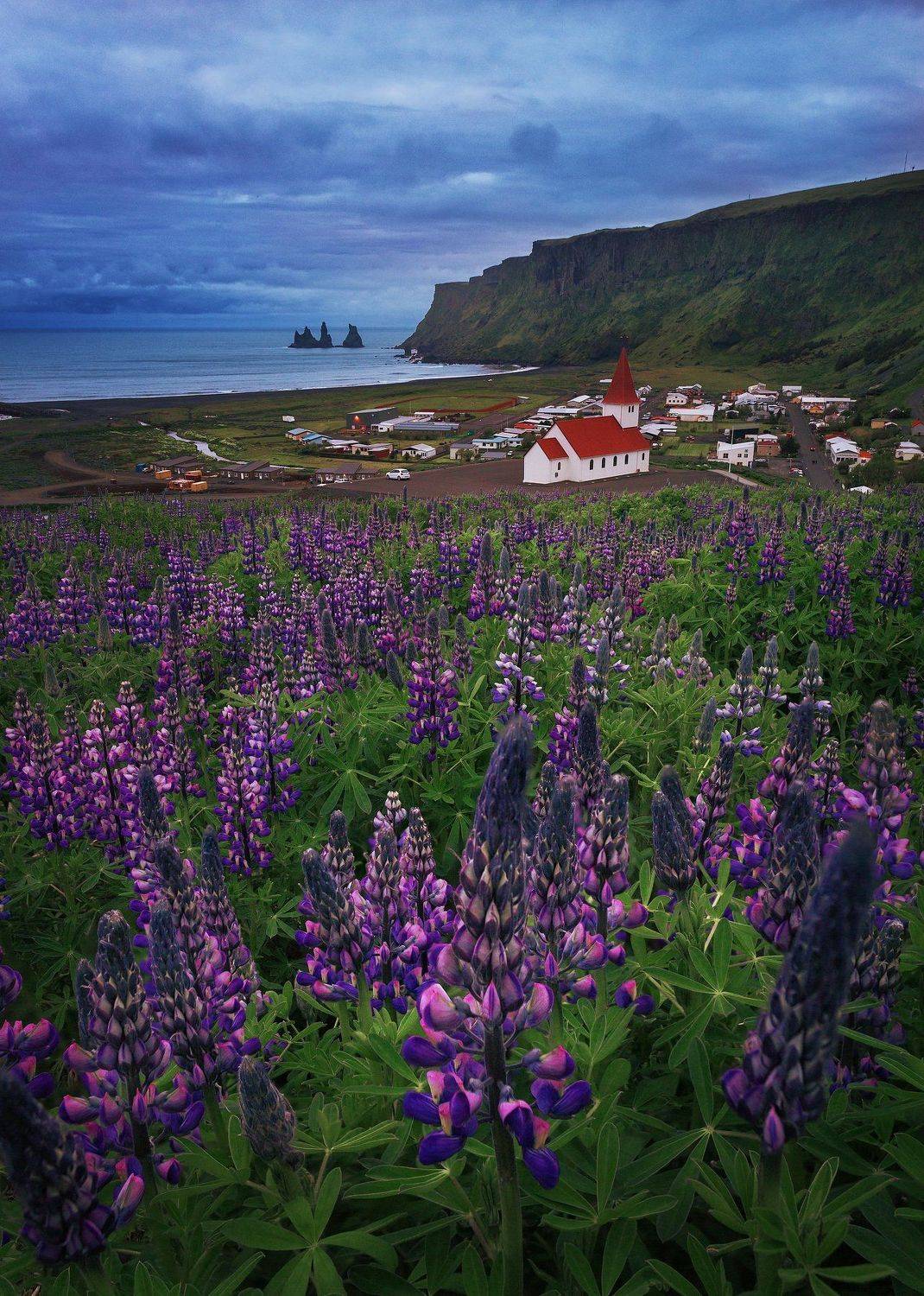 , Андрей Родионов