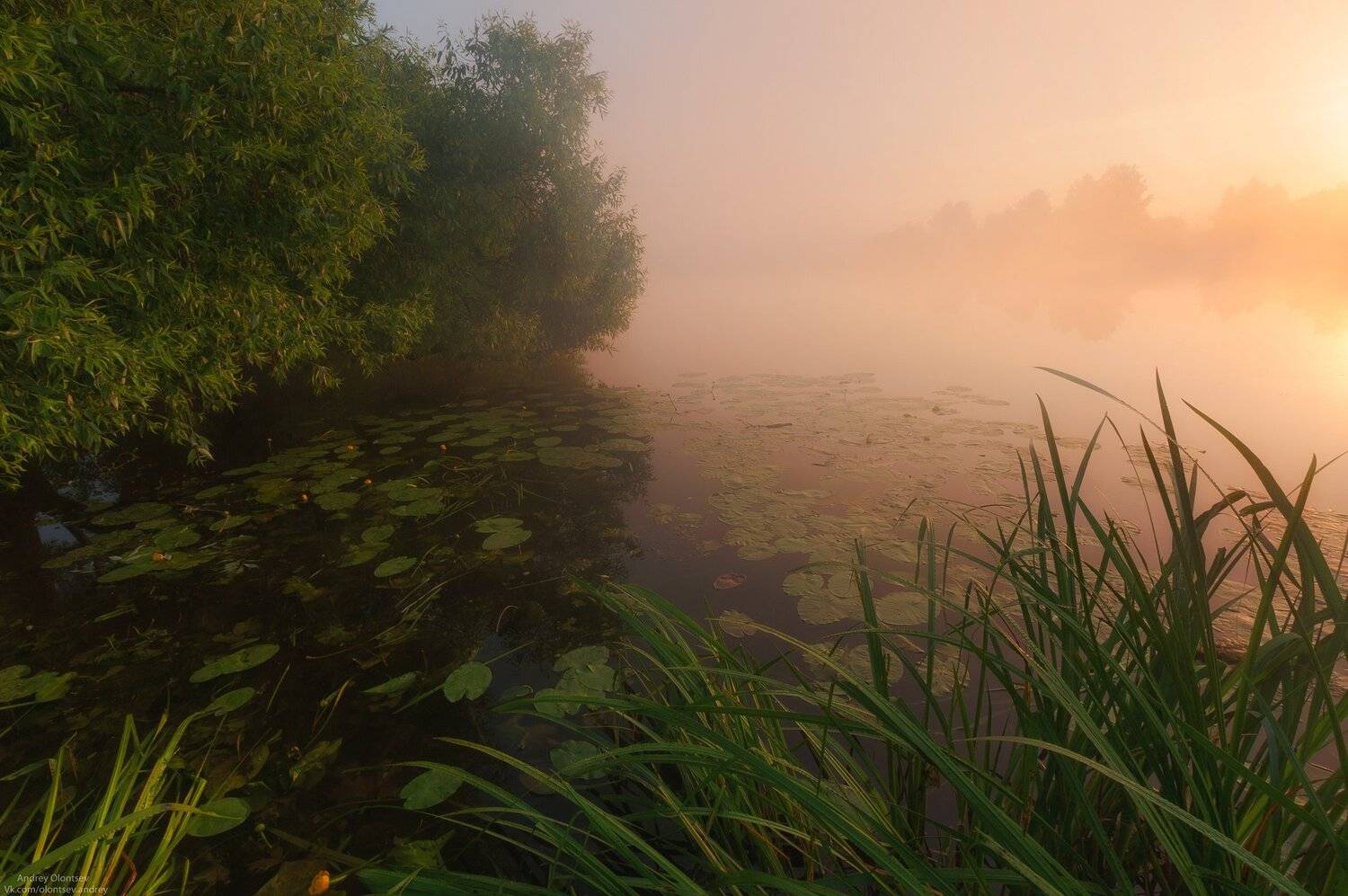 солнце, россия, рассвет, природа, подмосковье, погода, пейзажи, пейзаж, отражение, наукоград, красота, дубна, вода, весна, weather, water, spring, russia, reflection, naukograd, nature, moscow, landscape, dawn, canon dubna, beauty, Андрей Олонцев